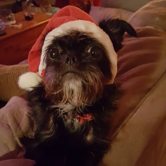 Meet your Posher, Kimberly - Picture 2 of 4